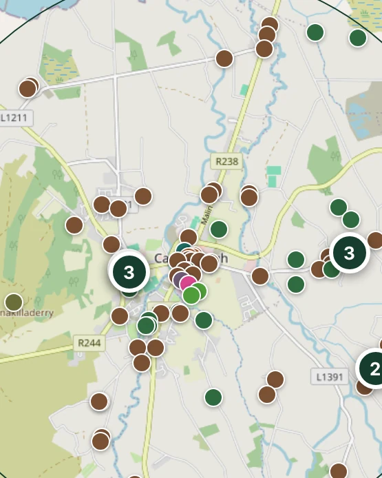 The Discover Alone map searched for Carndonagh, Co Donegal, where the map was started: pins for the recorded places around the town
